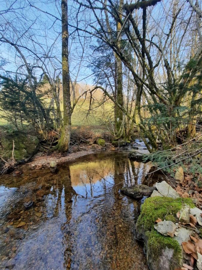 Gite Des 3 Jonquilles Saint-Maurice-sur-Moselle Ngoại thất bức ảnh