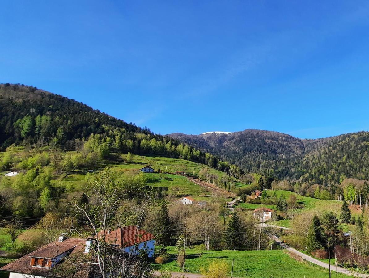 Gite Des 3 Jonquilles Saint-Maurice-sur-Moselle Ngoại thất bức ảnh