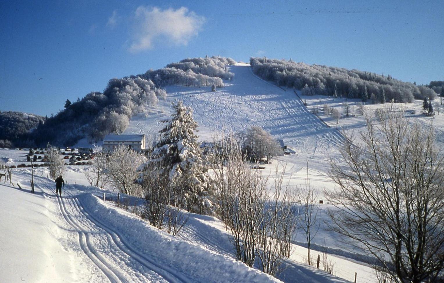 Gite Des 3 Jonquilles Saint-Maurice-sur-Moselle Ngoại thất bức ảnh