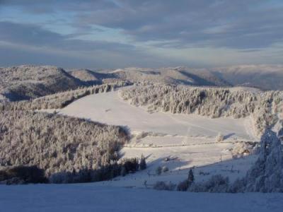 Gite Des 3 Jonquilles Saint-Maurice-sur-Moselle Ngoại thất bức ảnh